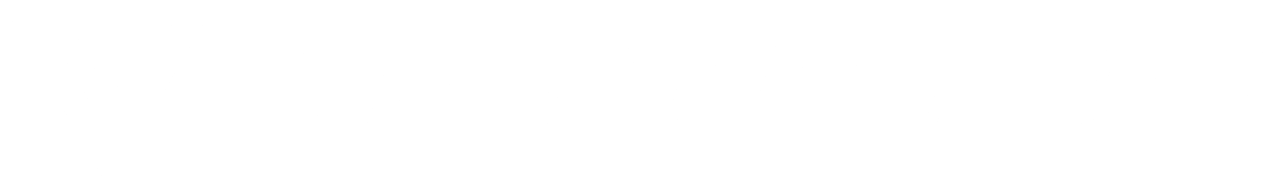 TwinVee